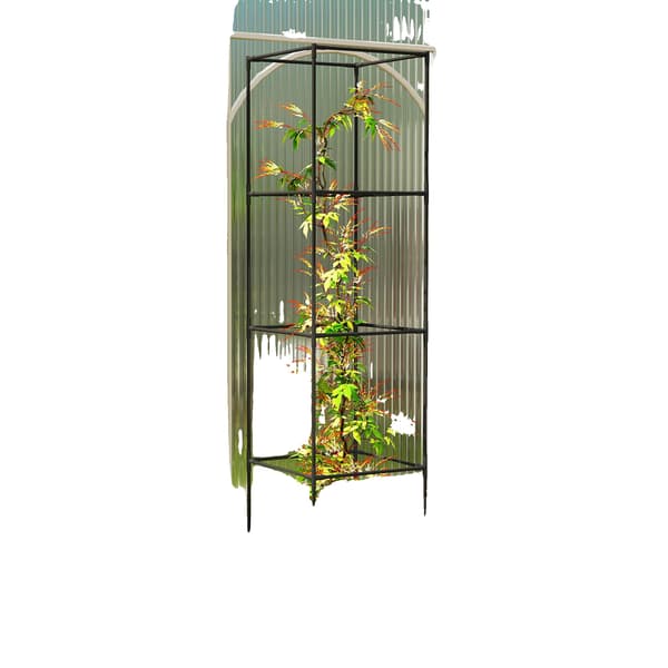 Planter, Hållbar Konstruktion, Estetisk Spaljédesign, Brun