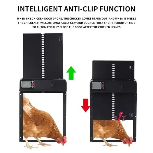 Automatisk Hönshusdörr, Vattentät Design, Lätt Installation,grön