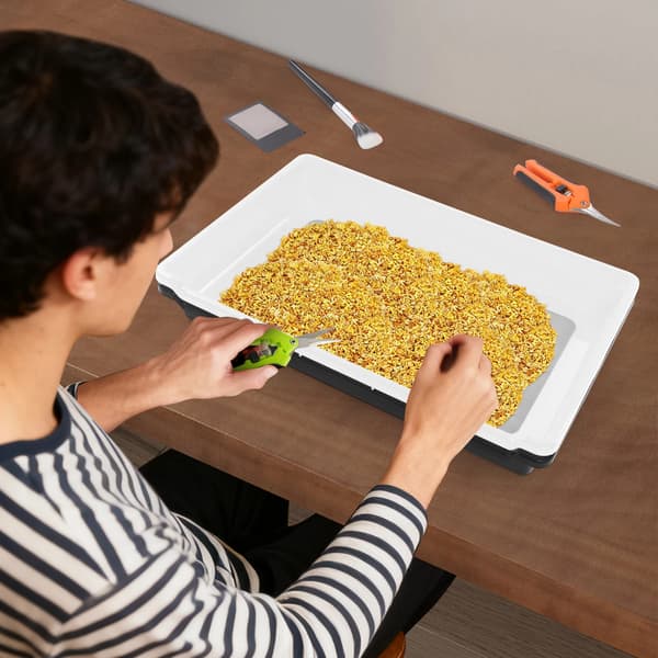 Pollenindsamlingsbakke Kit, 150 Mikron Net, Inkluderet Saks og Børste,sort