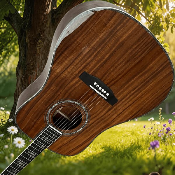 Guitar, KOA Krop, Rosenwood Greb,Brun