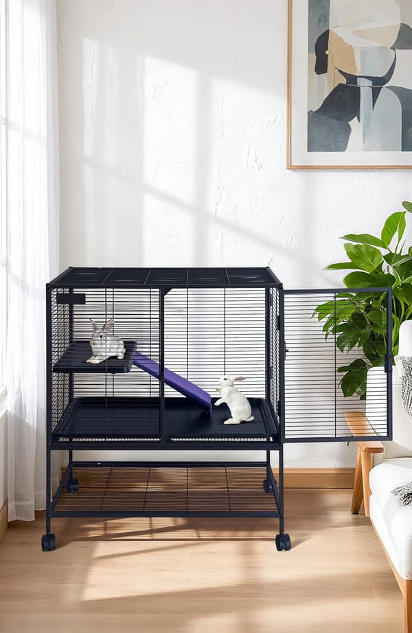 Litet djurbur, flernivådesign, lättstädad avtagbar bricka,A2