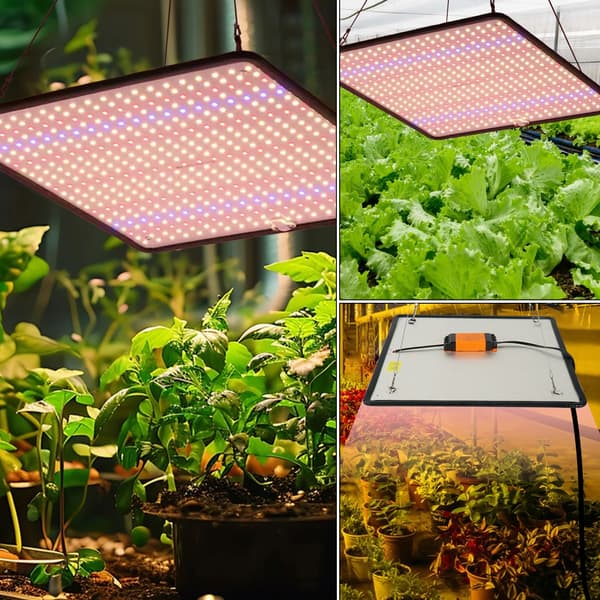 LED Kasvivalo, Täysialue, Energiatehokas,2 kappaletta