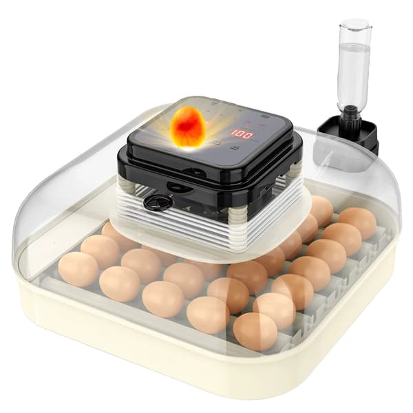 Ägginkubator, Automatisk Vändning, Precise Klimatkontroll,35 Ägg