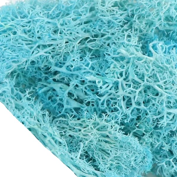 Mossa, Mjukt Limmaterial, Mångsidig för Heminredning, Cyan, 20gram-c