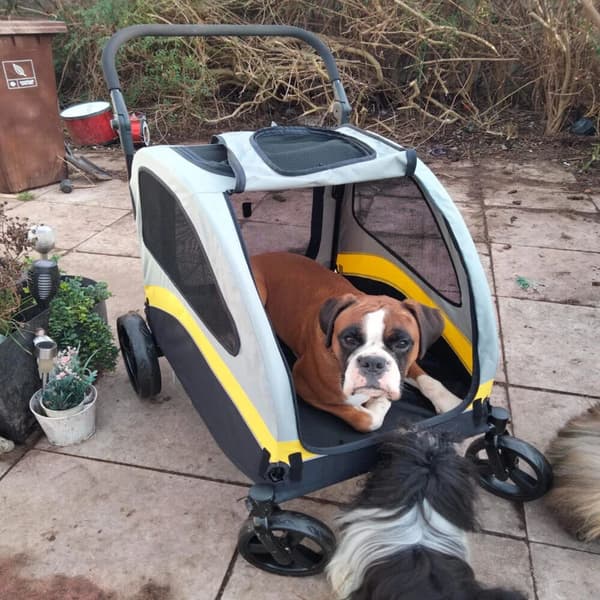 Hundtransportör, Fällbar Design, 4-hjulig Mobilitet,GRÅ