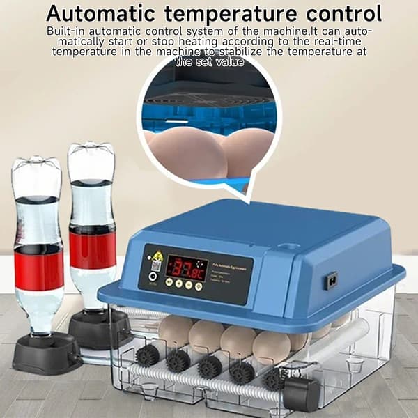 Inkubator, Automatisk Temperaturkontroll, Justerbar Äggbricka,Blå