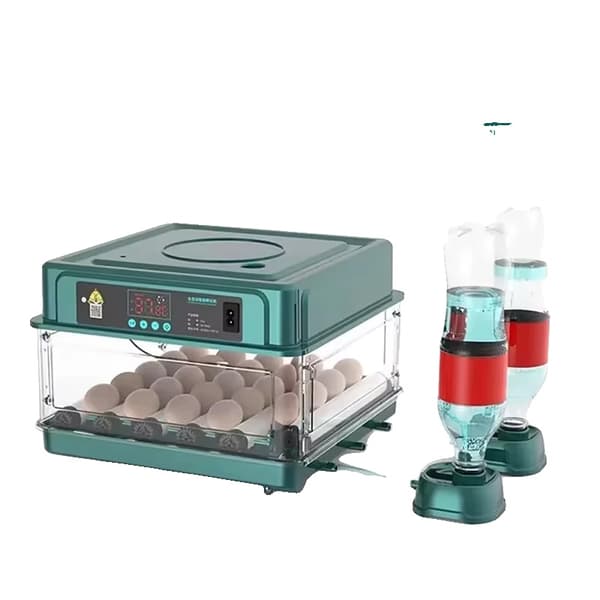 Ägginkubator, Automatisk Temperaturkontroll, Hög Kapacitet Design,24 Ägg