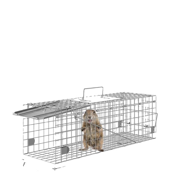Levande djurfälla, Hållbar konstruktion, Human design,Silver