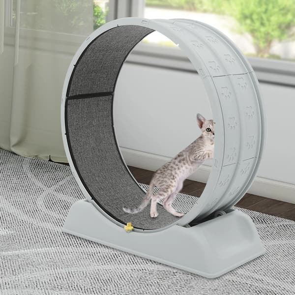 Katte Træningshjul, Stille Drift, Robust Design,Grå