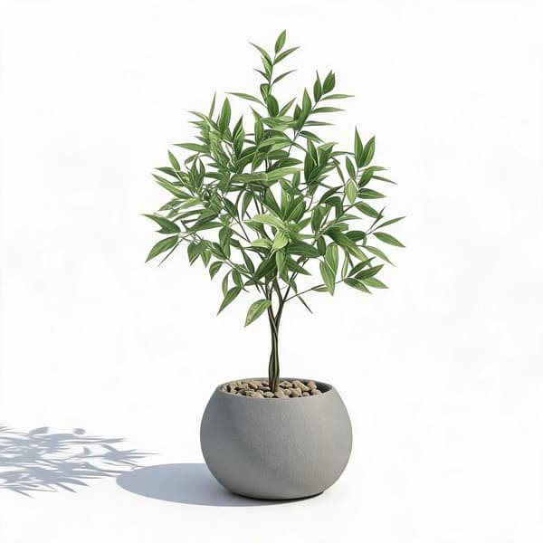 Teko Eukalyptuspuu, Realistinen Suunnittelu, Helppo Hoito,70cm