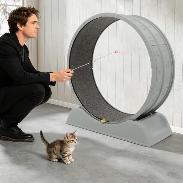 Katte Træningshjul, Stille Drift, Robust Design,Grå