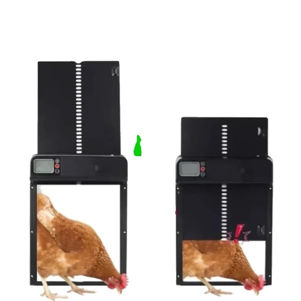 Fugleport, Intelligent Timer, Vandtæt Design,sort