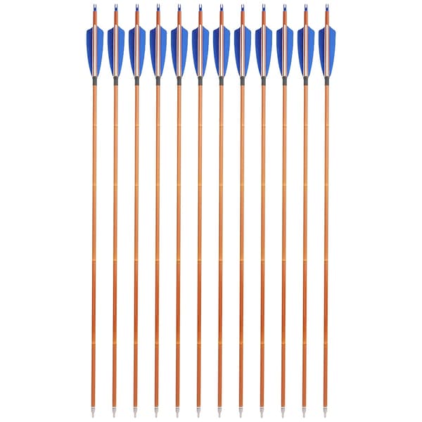 Kolfiberpilar, 500 Spine, 12-pack,2Blå1Vit