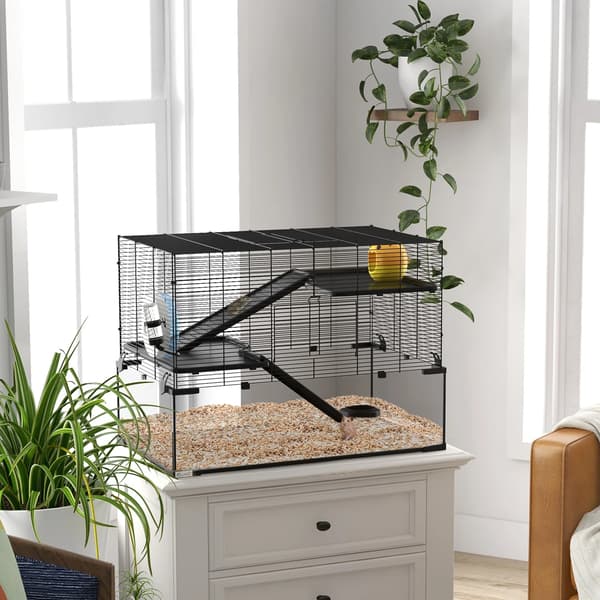 Hamsterbur, rummelig multi-niveau design, inkluderer essentielle tilbehør,sort