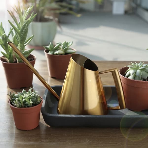 Vandkande, Rustfrit Stål Konstruktion, Ideel til Indendørs Planter,Gul