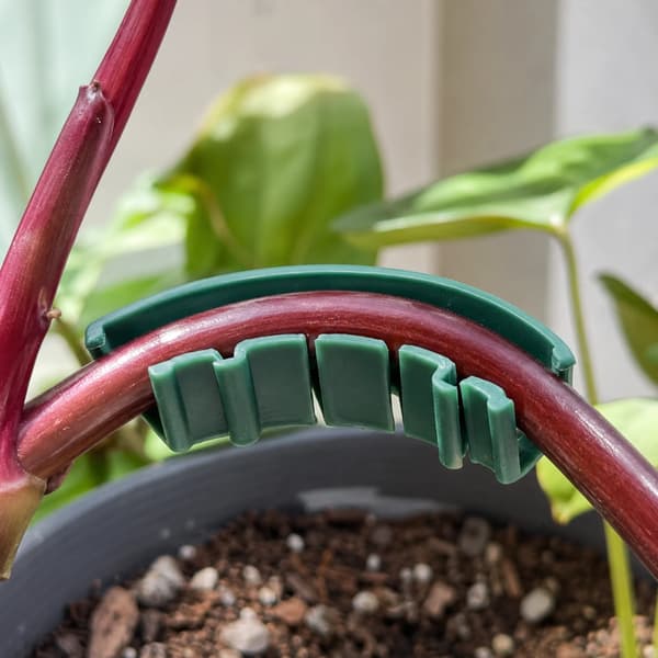Plante Støttebuer, Fleksibelt Materiale, Nem Installation,Grøn