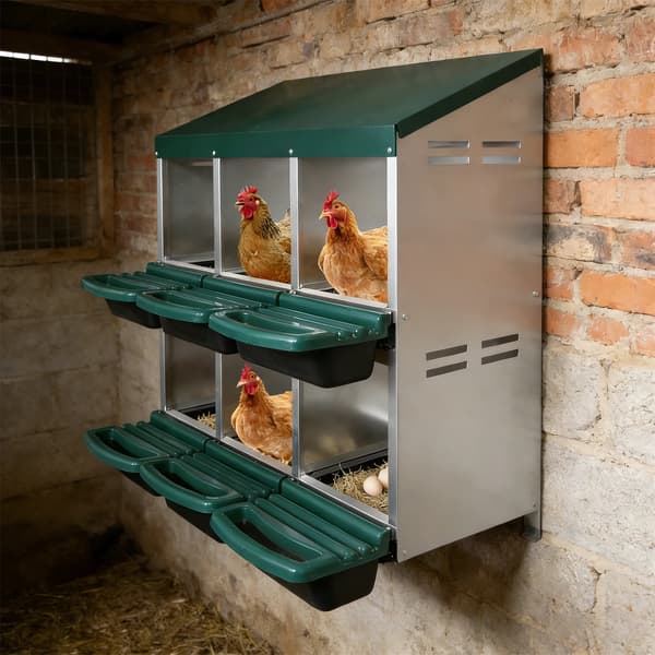 Hönsnäste, 6 Fack, Robust Konstruktion,grön