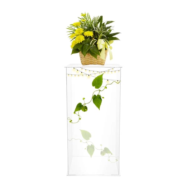 Acryl Display Stativ, Fritstående, Moderne Design,Klar