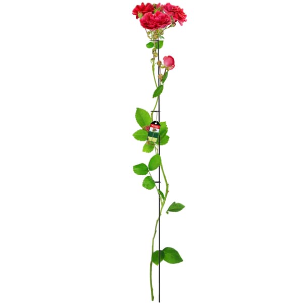 Växtstöd, Metallkonstruktion, 150 cm Höjd, Stöder Klätterväxter, Elegant Design, Förhindrar Växtskador
