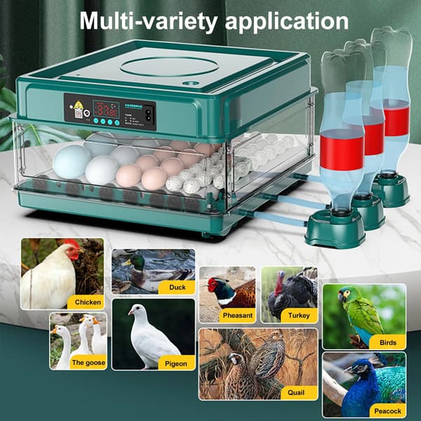 Ägginkubator, Automatisk Temperaturkontroll, Bärbar Design,48 Ägg