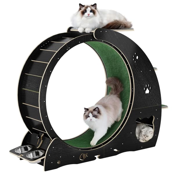 Katte Træningshjul, Multifunktionelt Design, Stille Drift,Sort