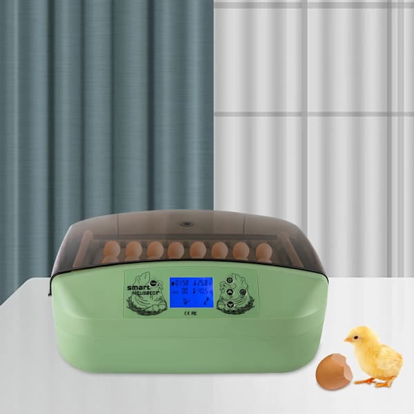 Automatisk Ägginkubator, 32 Ägg Kapacitet, Temperaturkontroll,grön
