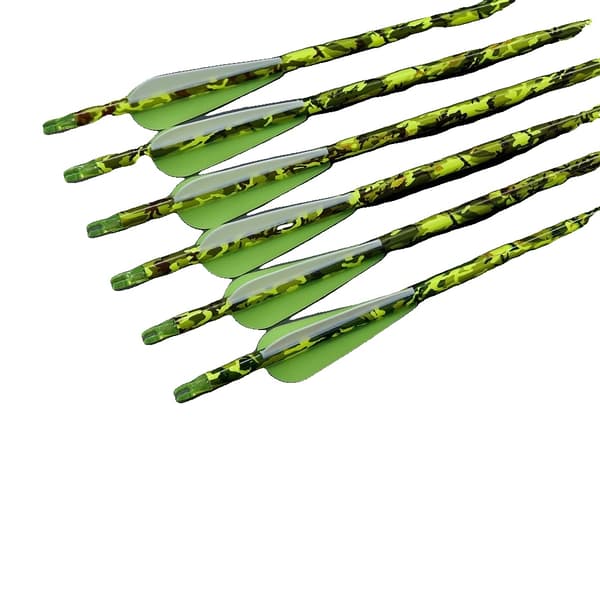 Bueskydning Pil, Carbon Skaft, til Recurve & Compound Buer,12pcs