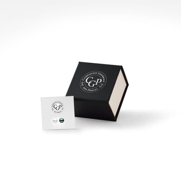 Örhängen - Compagnie Générale des Perles - Choklad - 925 Silver - Dam - Stud/Chip