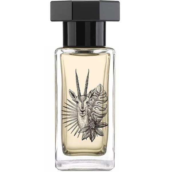 Le Couvent Singulière - Saiga Edp 50ml
