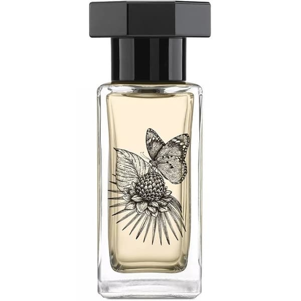 Le Couvent Singulière - Lysandra Edp 50ml