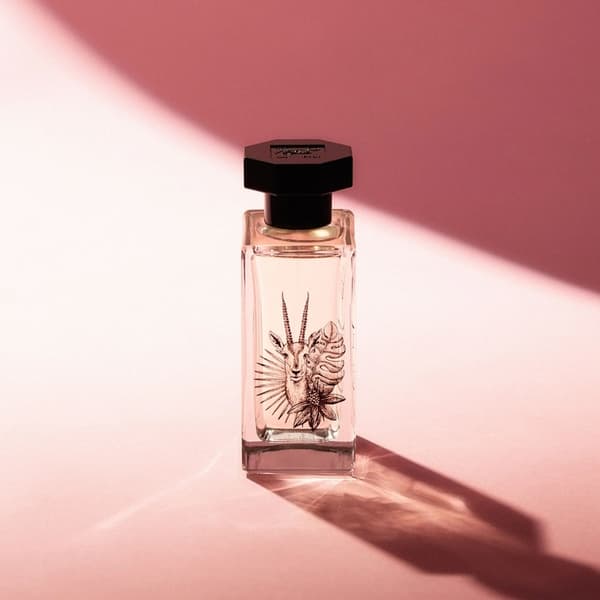 Le Couvent Singulière - Saiga Edp 50ml
